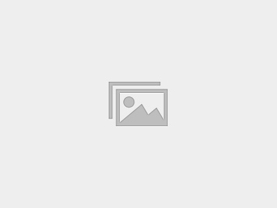 SYAABD01 – Abdomen and Back Series